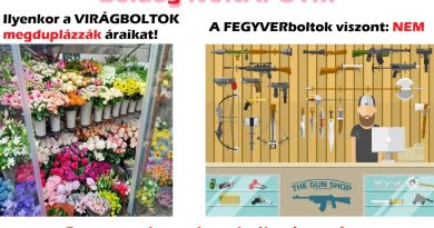 BOLDOG NŐNAPOT!!! Minden célzás nélkül…:-)