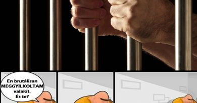 BŰN ÉS BŰNHŐDÉS – mi jár a (fegyver)jogsértőnek? BŰN ÉS BŰNHŐDÉS – mi jár a (fegyver)jogsértőnek?