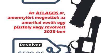 Mennyiért vettek átlagosan egy pisztolyt vagy revolvert az USA-ban?