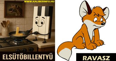 Fegyvertechnikai műszavak és régies szakkifejezések képes magyarázata:-) Fegyvertechnikai műszavak és régies szakkifejezések képes magyarázata:-)